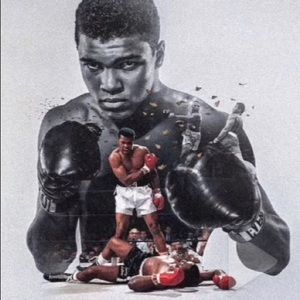 Meet your Posher, Collin